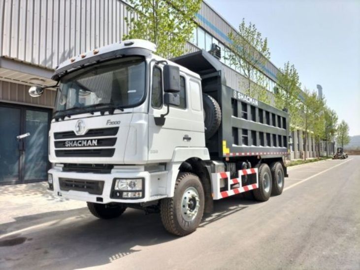 Grão Novo Pequeno SHACMAN F3000 Carrinho de Despejo 6x4 420 Euro II 10 Rodas Tipper